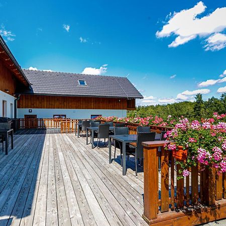 Penzion Stribrnik Krasna  Экстерьер фото